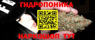 гидропоника Нягань
