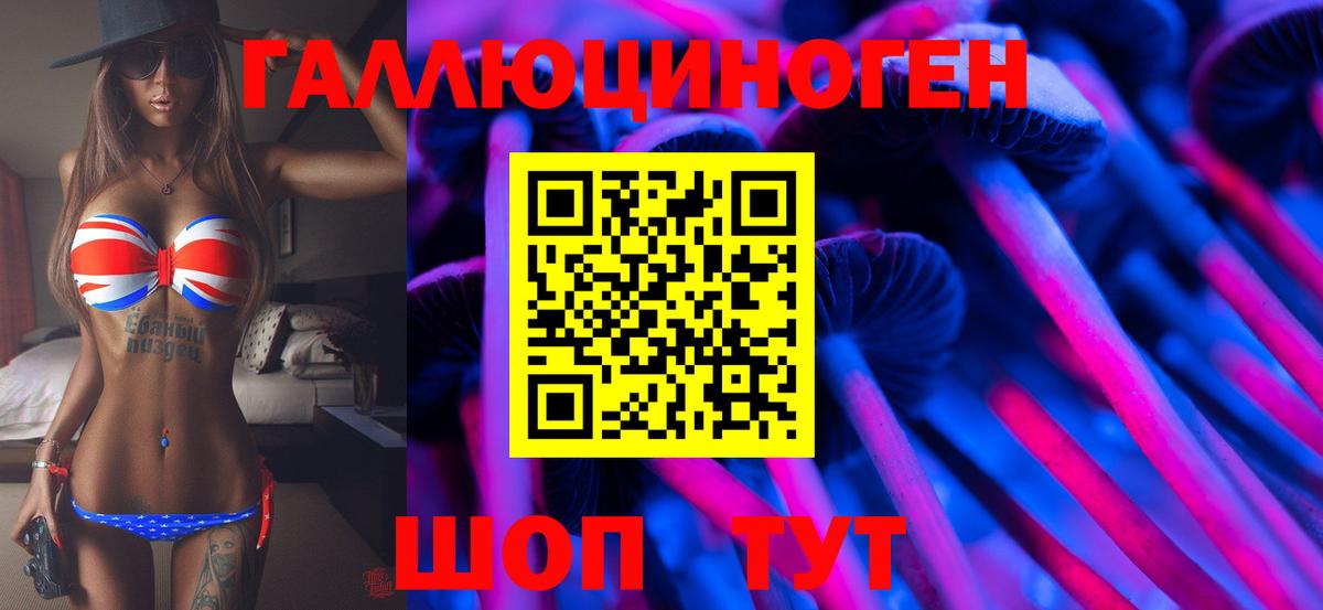 Псилоцибиновые грибы Psilocybe Серпухов